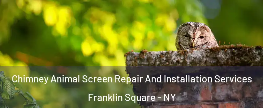  Chimney Animal Screen Repair And Installation Services Franklin Square - NY