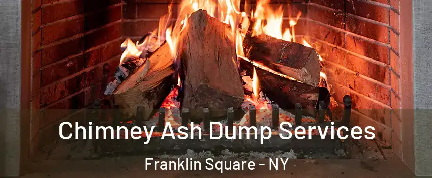 Chimney Ash Dump Services Franklin Square - NY