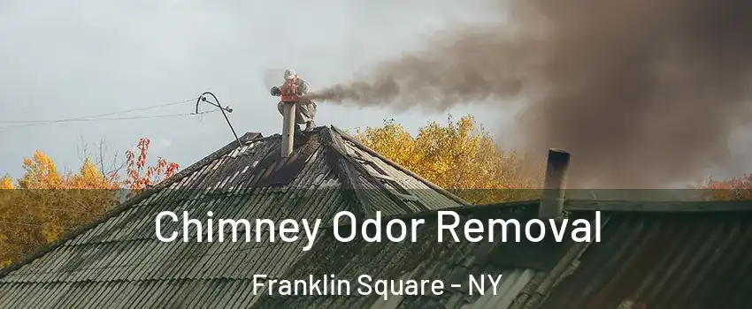  Chimney Odor Removal Franklin Square - NY