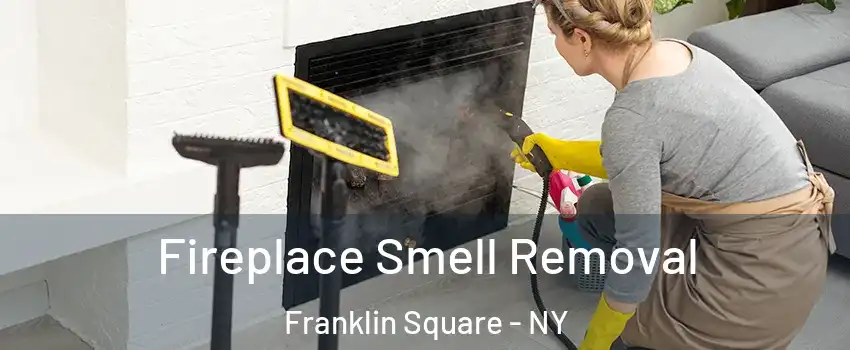  Fireplace Smell Removal Franklin Square - NY