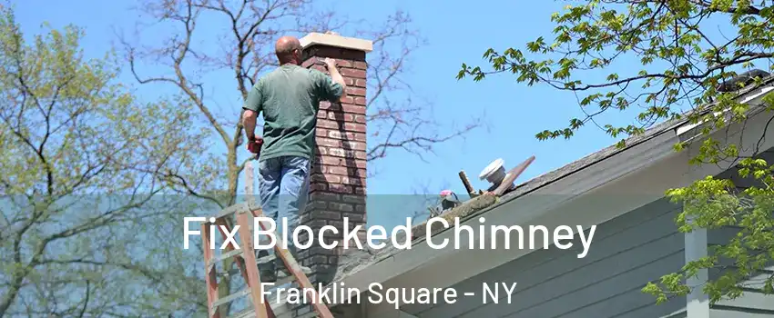  Fix Blocked Chimney Franklin Square - NY