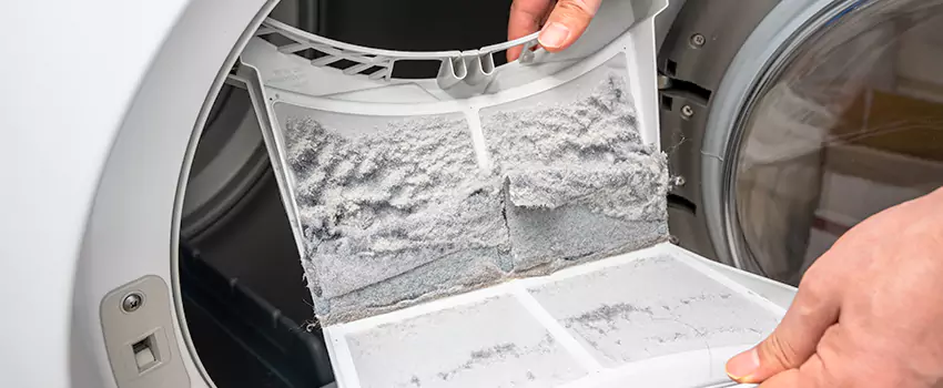 Best Dryer Lint Removal Company in Franklin Square, New York