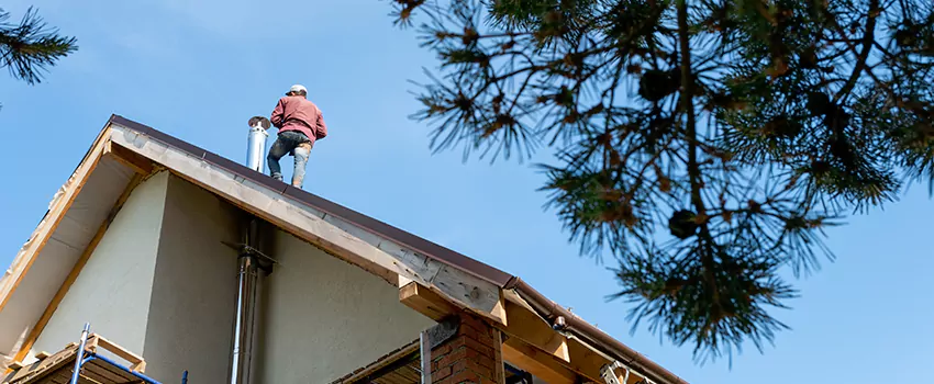 Birds Removal Contractors from Chimney in Franklin Square, NY