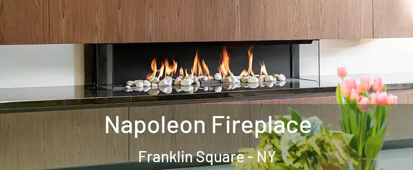  Napoleon Fireplace Franklin Square - NY